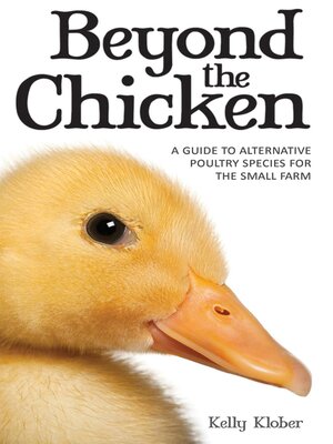 cover image of Beyond the Chicken